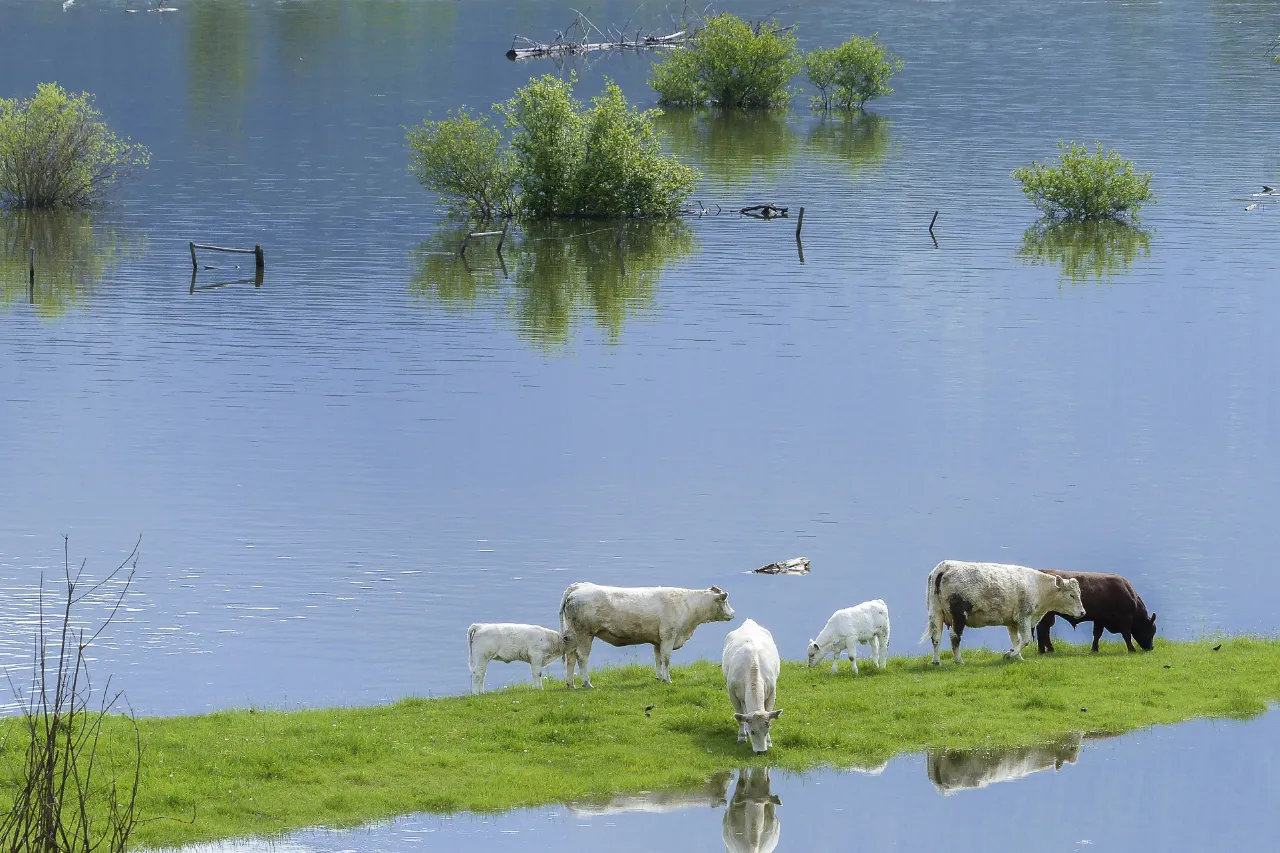 Floodwater Management Systems: The Importance of Reliable Equipment in an Emergency